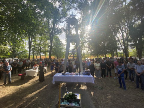 image_50423297_resize