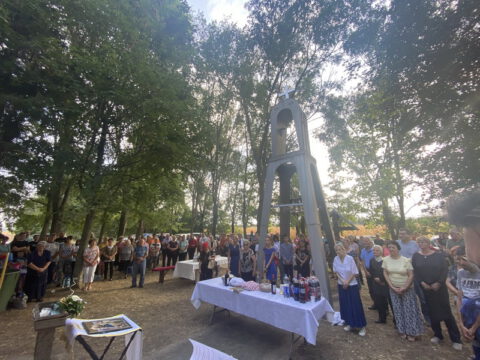 image_50728449 (1)_resize