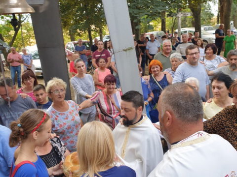 image_6483441 (2)_resize