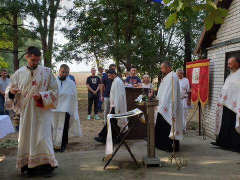 image_6483441 (5)_resize