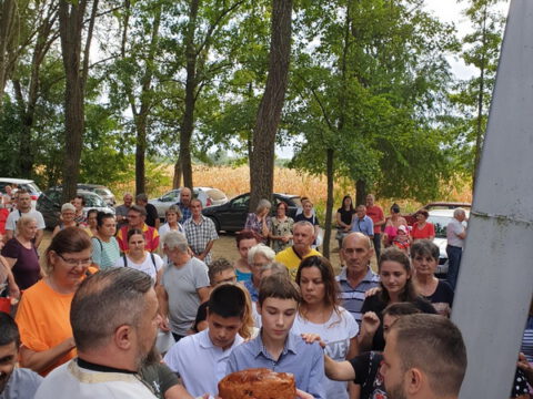 image_6483441 (6)_resize