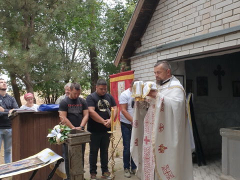 image_6483441_resize