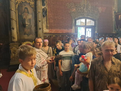 viber_slika_2023-09-17_15-22-09-873_resize