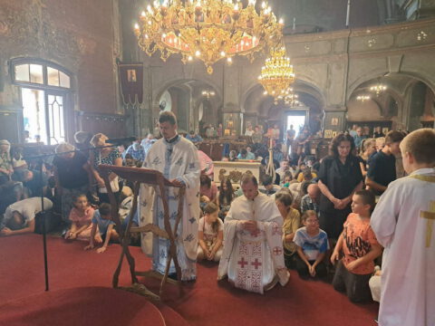 viber_slika_2023-09-17_15-24-05-808_resize