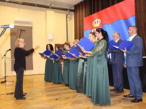 IMG-22ef5910f1d2b03ca8d3ac8ed9268c09-V_resize