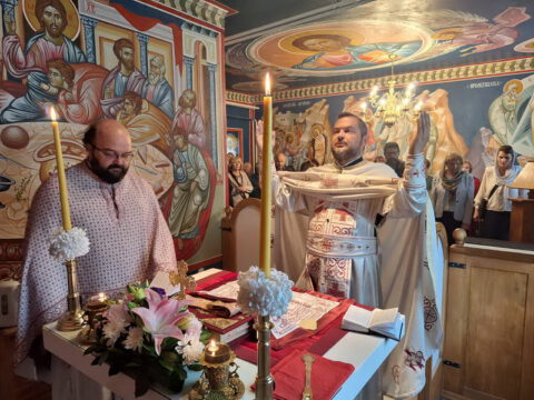 IMG-8054aa28cb3a3b50418e0cbd87f3932e-V_resize