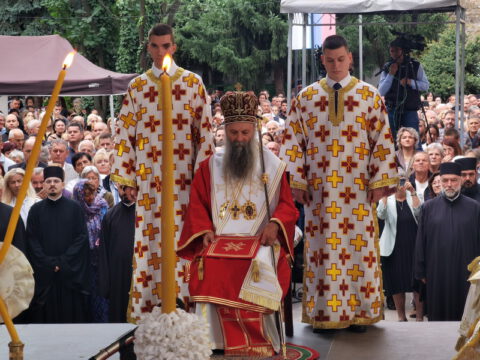 IMG_20231002_090803_resize