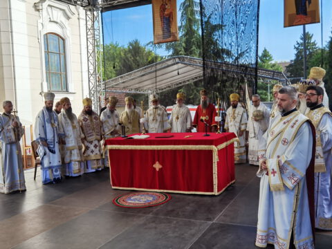 IMG_20231002_093223_resize