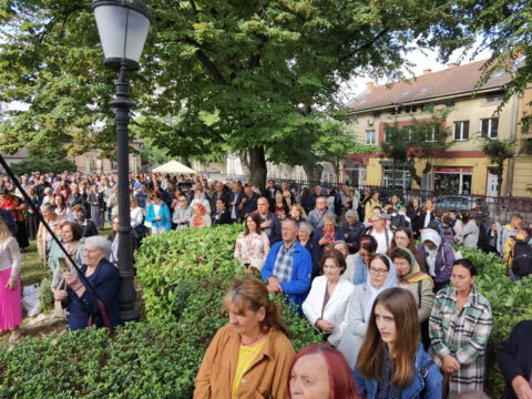 IMG_20231002_095513_resize