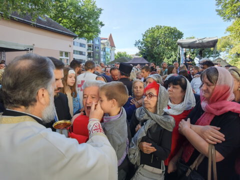 IMG_20231002_104826_resize