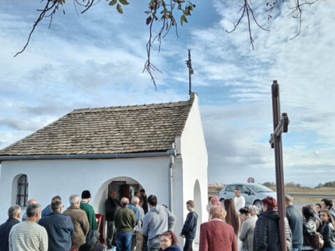 IMG_20231026_151958_resize