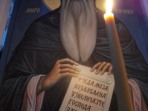 IMG_20231027_074646_resize