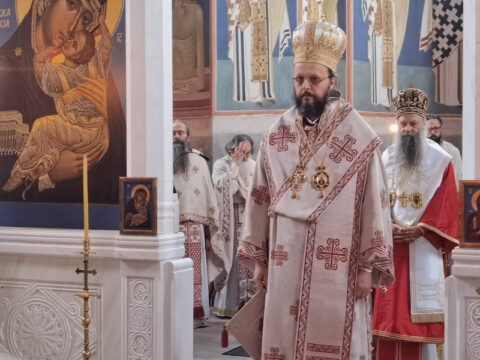 IMG_20231027_082410_resize