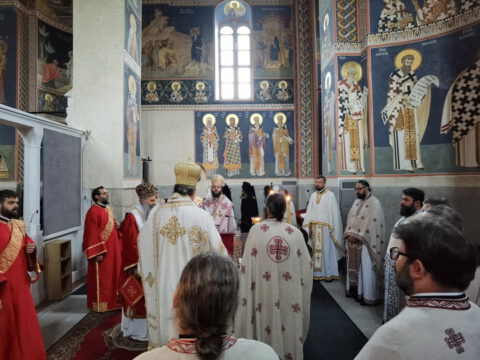 IMG_20231027_082505_resize