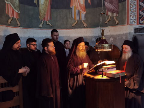 IMG_20231027_082852_resize