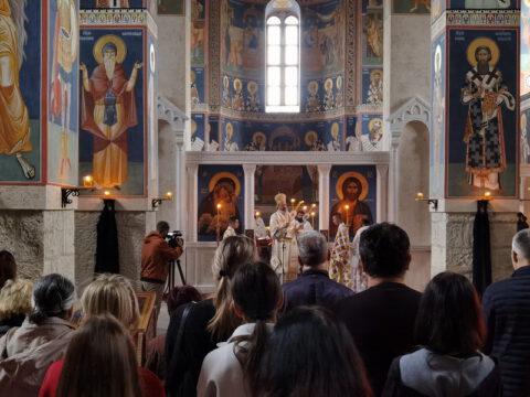 IMG_20231027_083017_resize