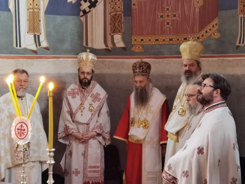 IMG_20231027_083143_resize