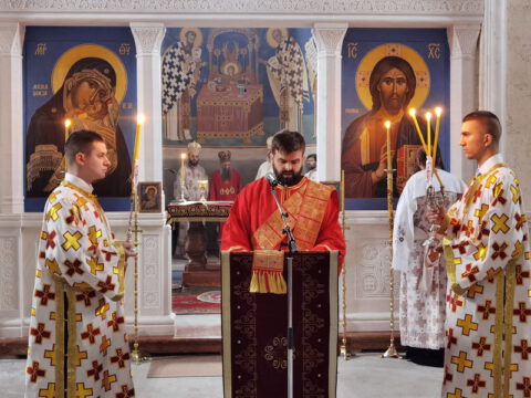 IMG_20231027_083835_resize