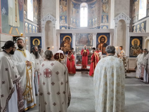 IMG_20231027_090533_resize