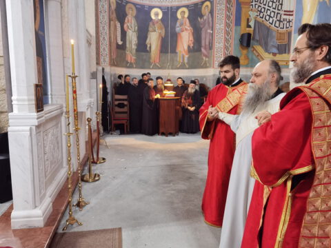 IMG_20231027_090738_resize