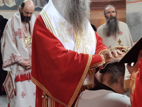 IMG_20231027_091056_resize