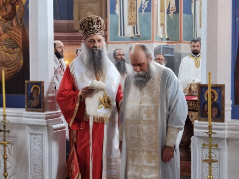 IMG_20231027_091513_resize