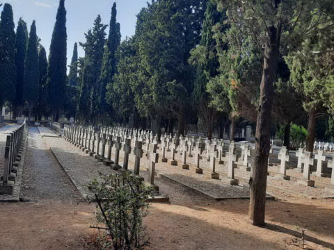 viber_image_2023-10-25_14-31-32-584_resize