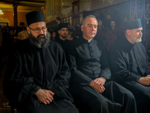 0H5A5340_resize_resize