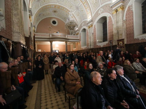 0H5A5355_resize_resize