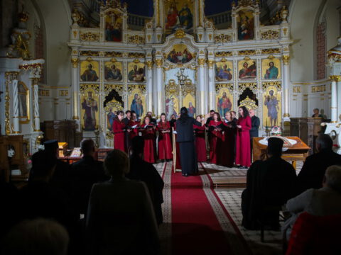 0H5A5390_resize_resize