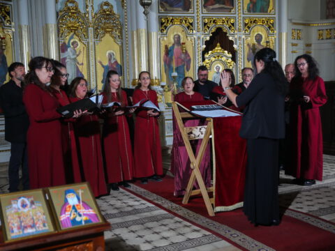 0H5A5394_resize_resize