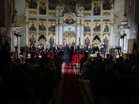 0H5A5491_resize_resize