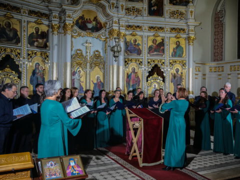 0H5A5525_resize_resize