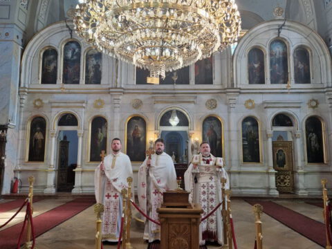 IMG-cc9d4f3c26c97ca4fb8e9e96f6cd9a62-V_resize