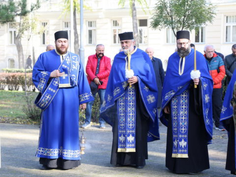 IMG_1469_resize_resize