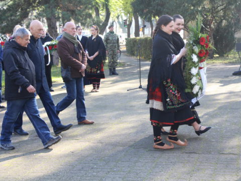 IMG_1509_resize_resize