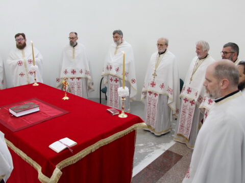 IMG_1626_resize_resize