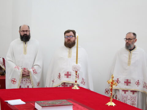 IMG_1629_resize_resize