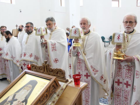 IMG_1670_resize_resize