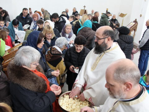 IMG_1737_resize_resize