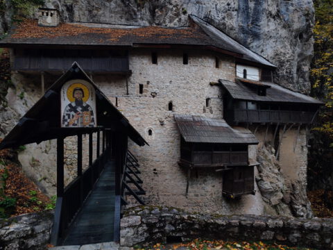 IMG_20231104_070902_resize