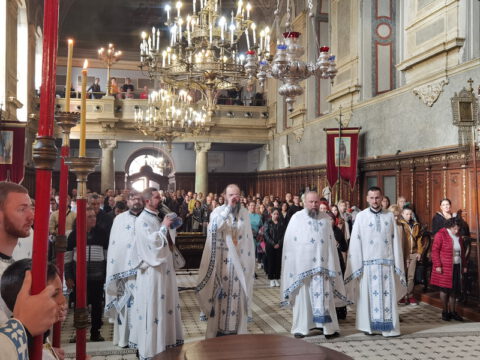 IMG_20231105_091044_resize