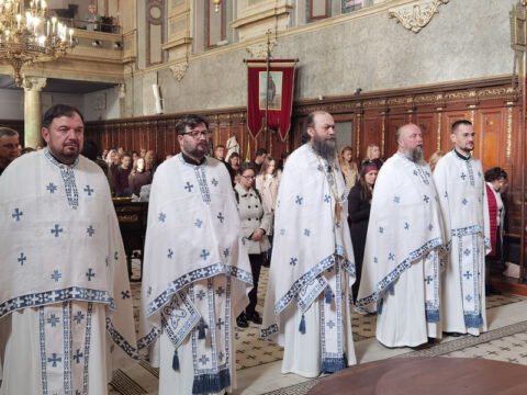 IMG_20231105_091107_resize