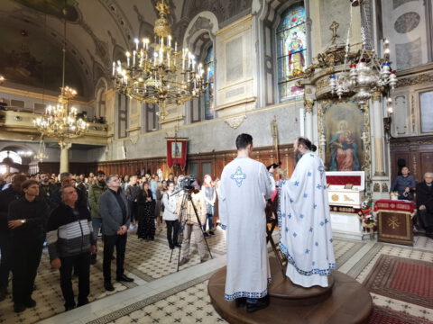 IMG_20231105_093249_resize