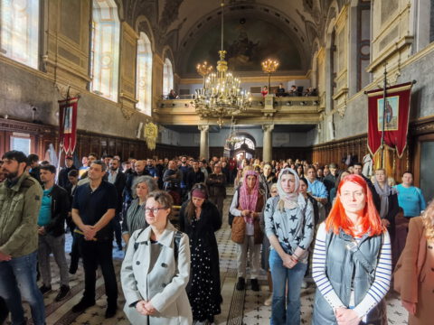 IMG_20231105_093625_resize