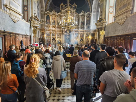 IMG_20231105_094811_resize