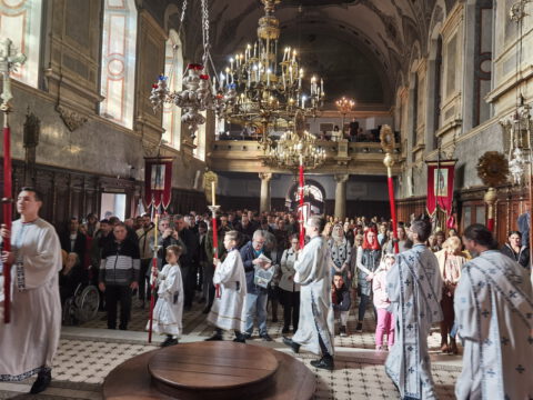 IMG_20231105_095116_resize