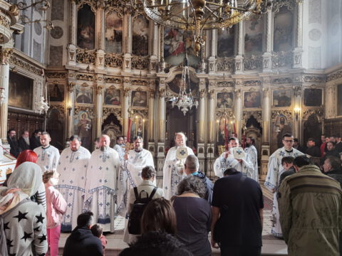 IMG_20231105_095204_resize