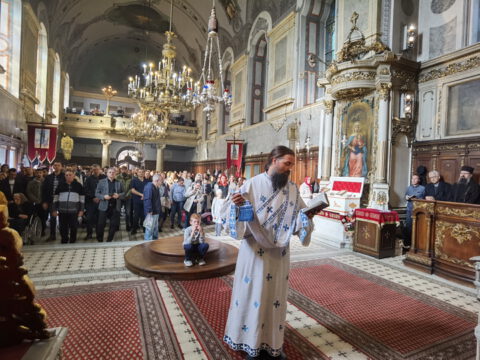 IMG_20231105_100736_resize