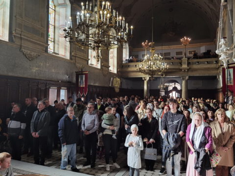 IMG_20231105_101727_resize